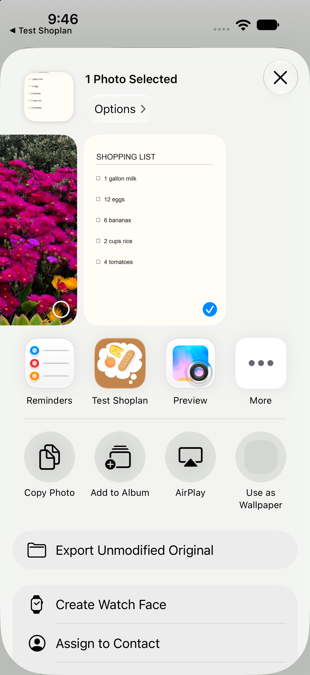 The iPhone share sheet with the sample list selected and Test Shoplan in the app row beside More.